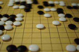 mk体育平台网页版入口-世界围棋赛青年选手战术成熟引热议，2020世界围棋
